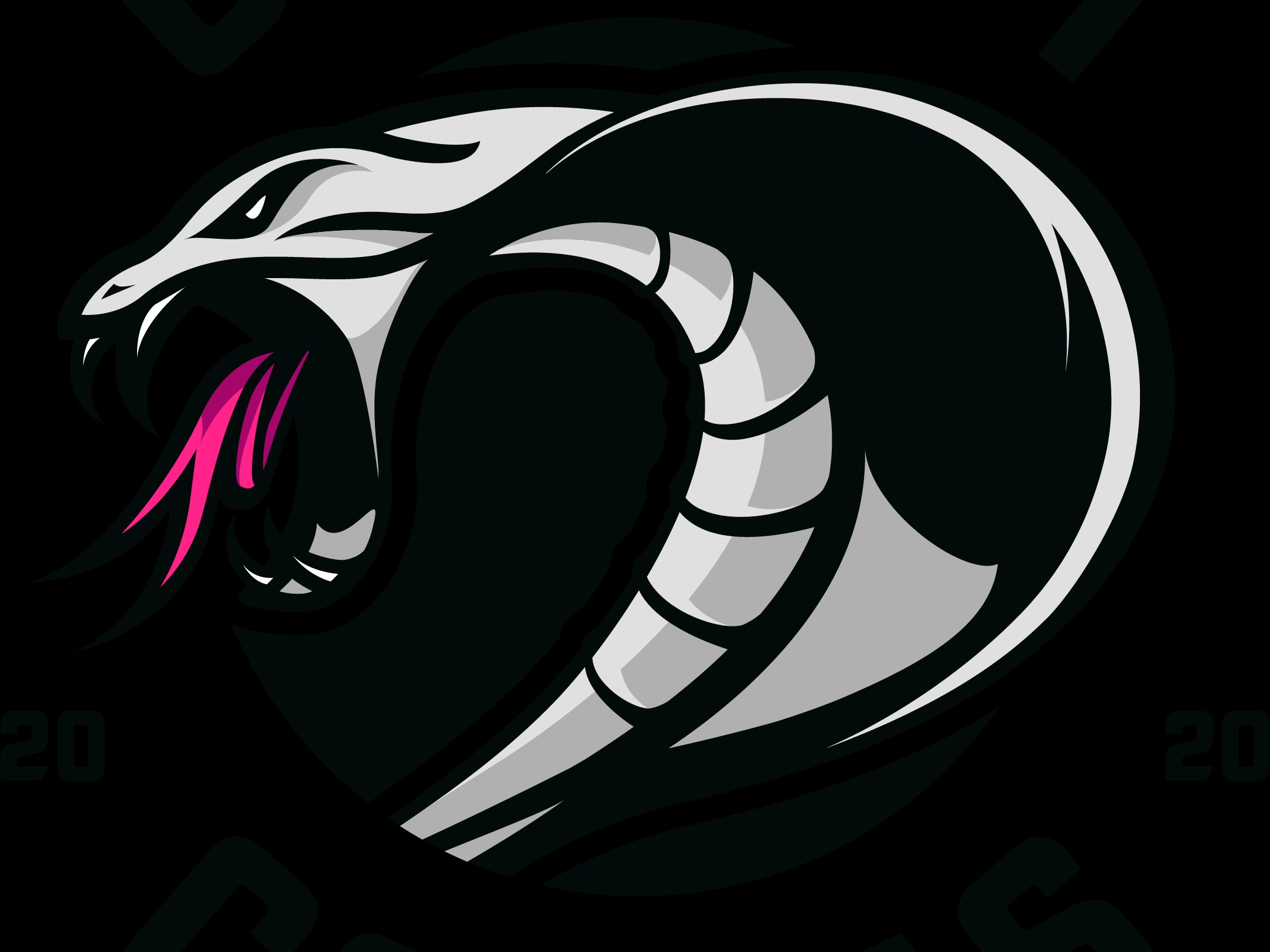 Cobham Cobras Basketball