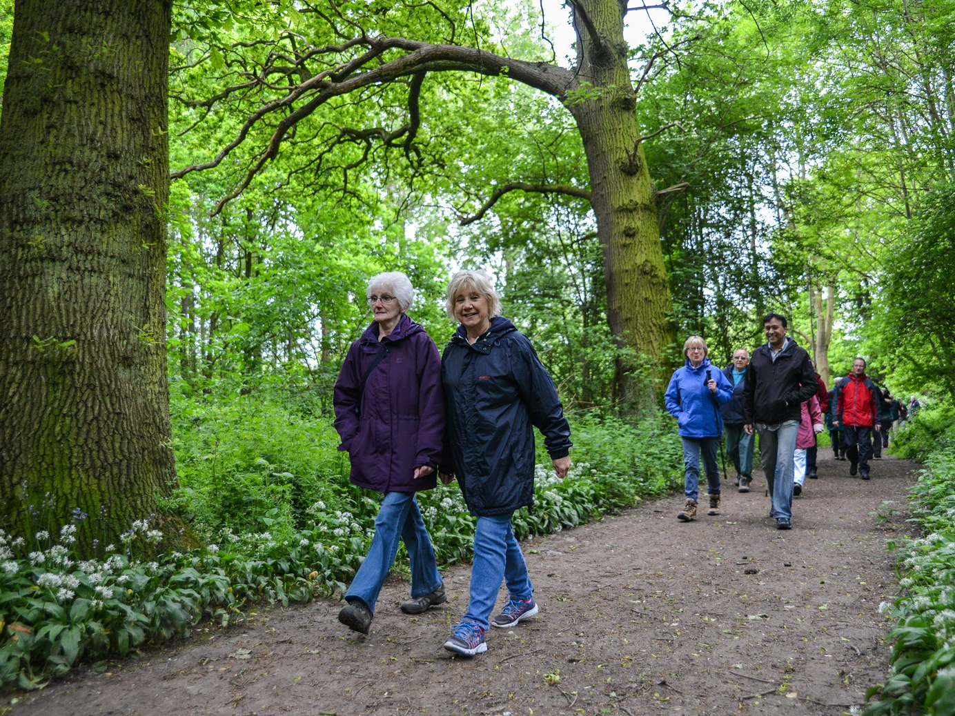 Bishops Waltham - Wellbeing Walk