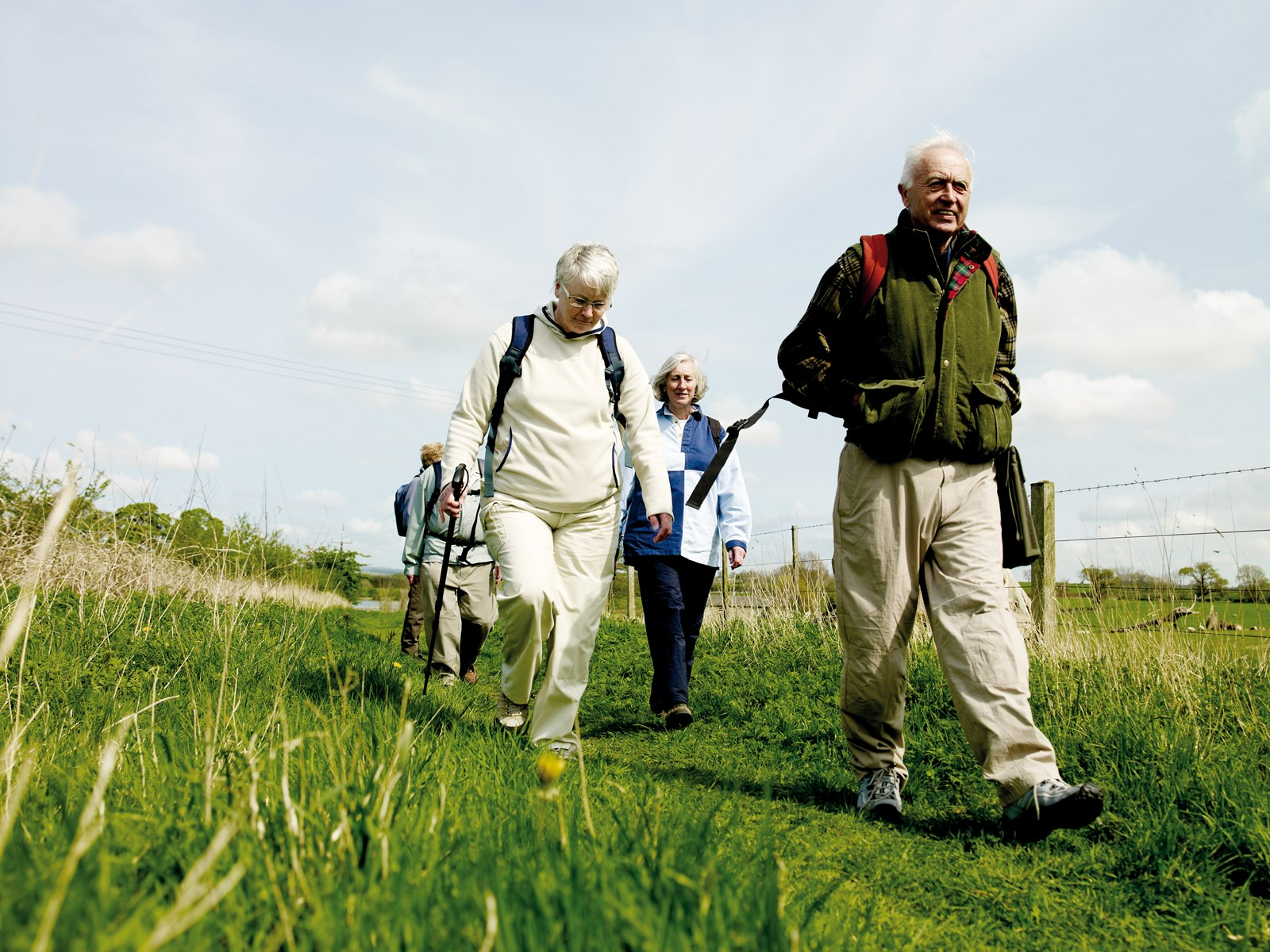 Colden Common - Wellbeing Walk