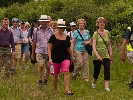 Winchester City Centre - Wellbeing Walk