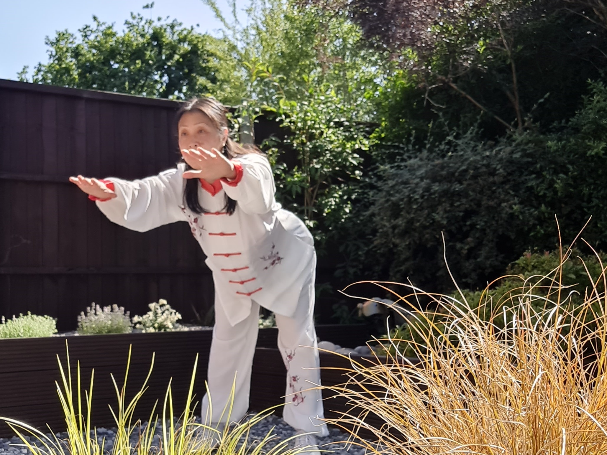 Qigong on Zoom with Angela