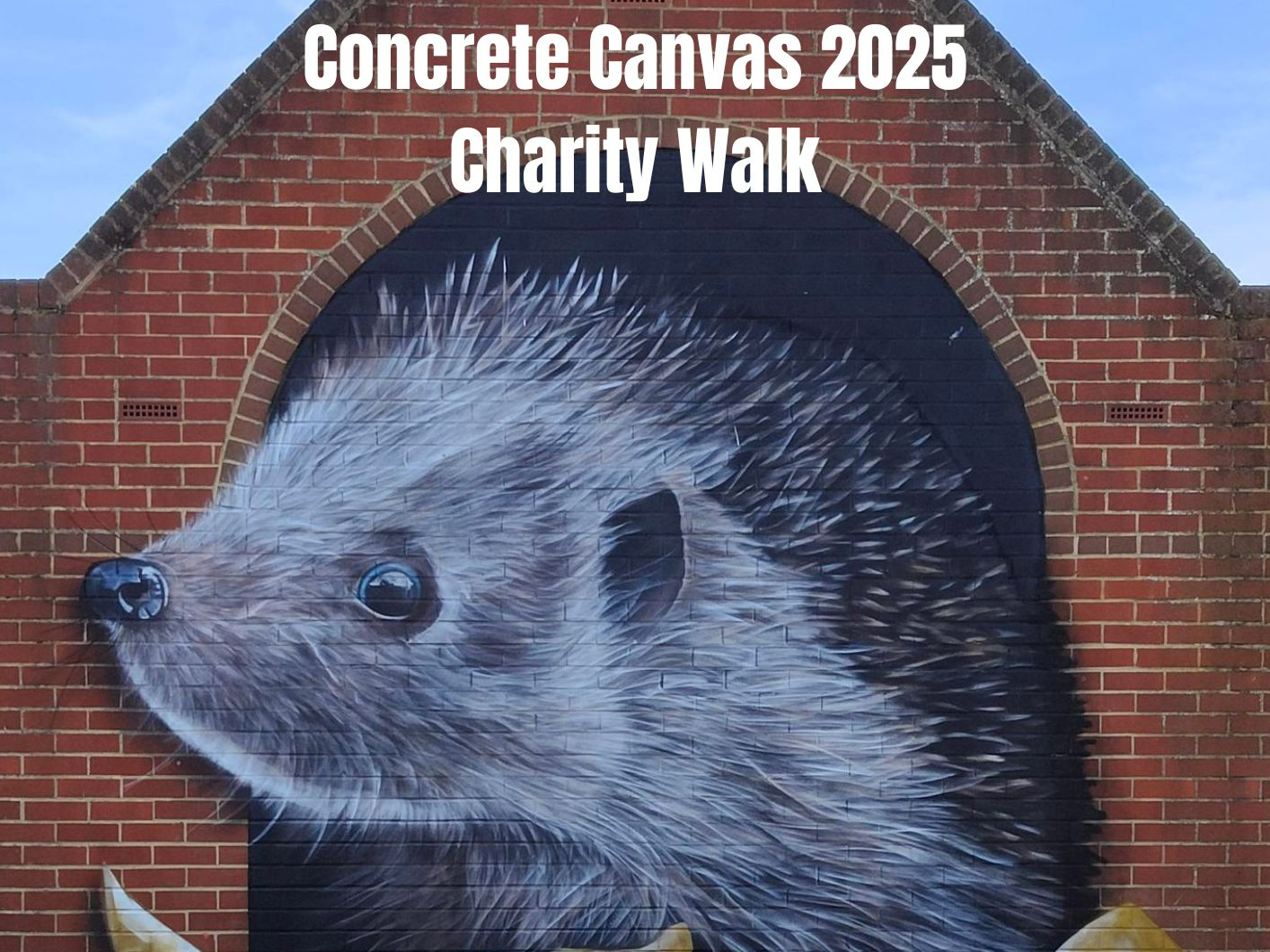 Concrete Canvas charity walk