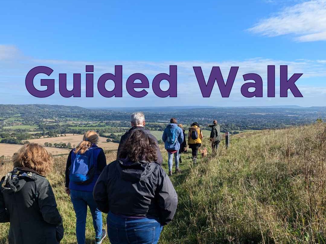 Guided Downland Walk