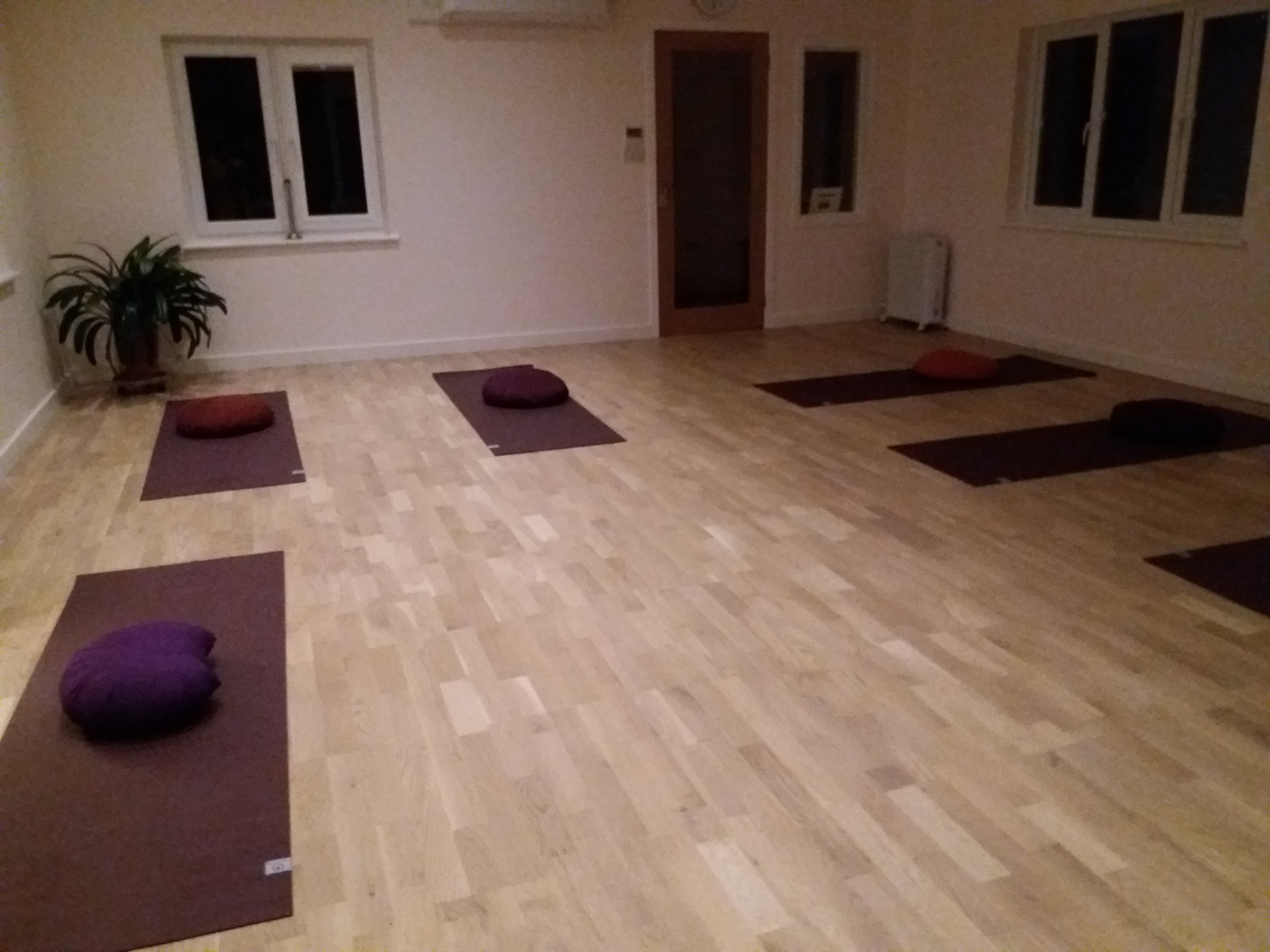 Gentle Yoga with Sandy on evenings
