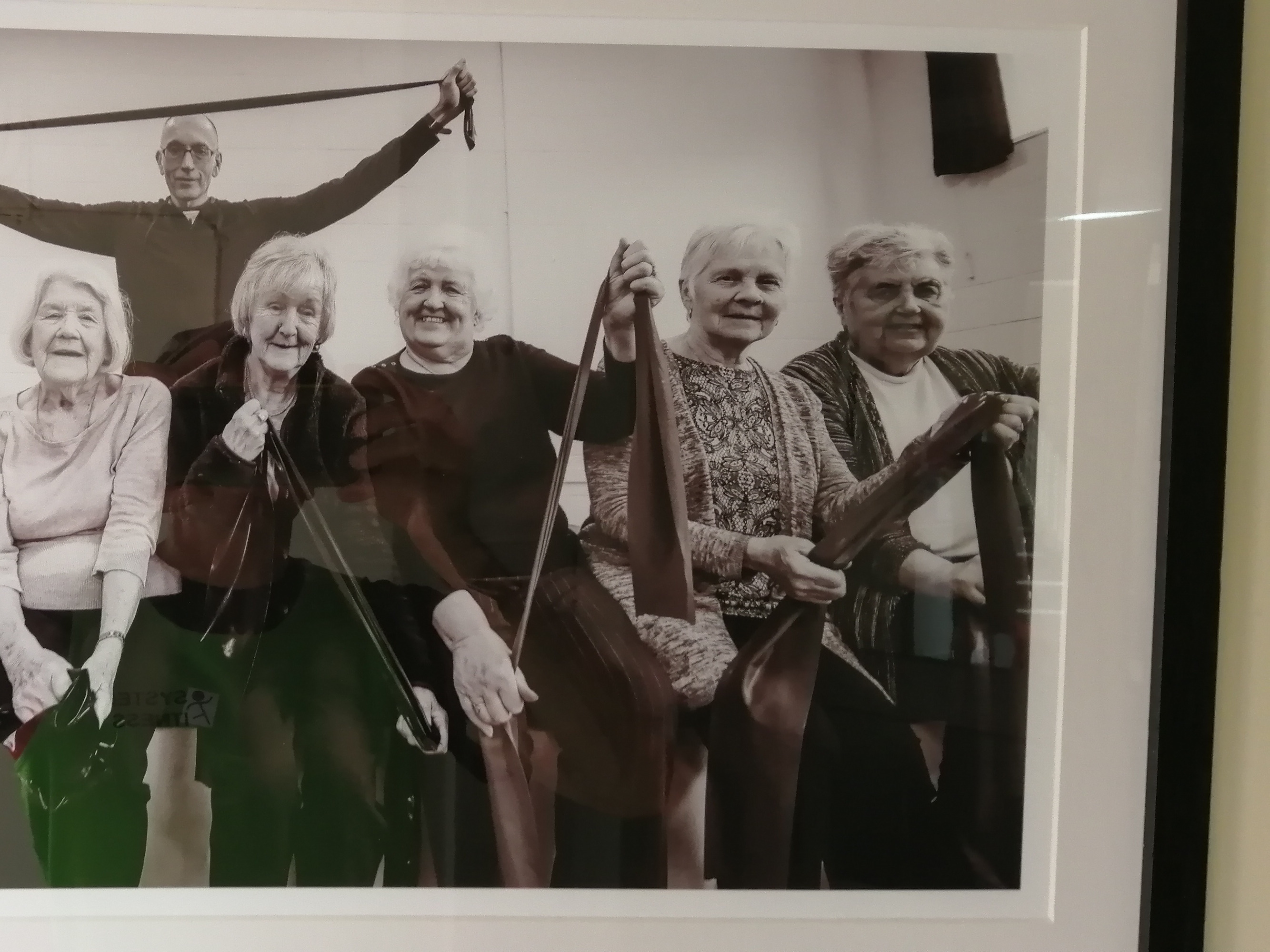 Functional Fitness for Seniors / 50+ (B31)
