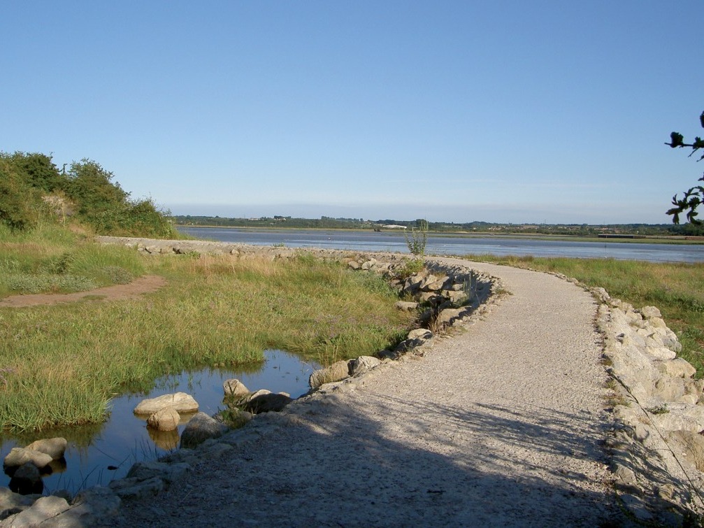 Ramblers Wellbeing Walks: Riverside Country Park