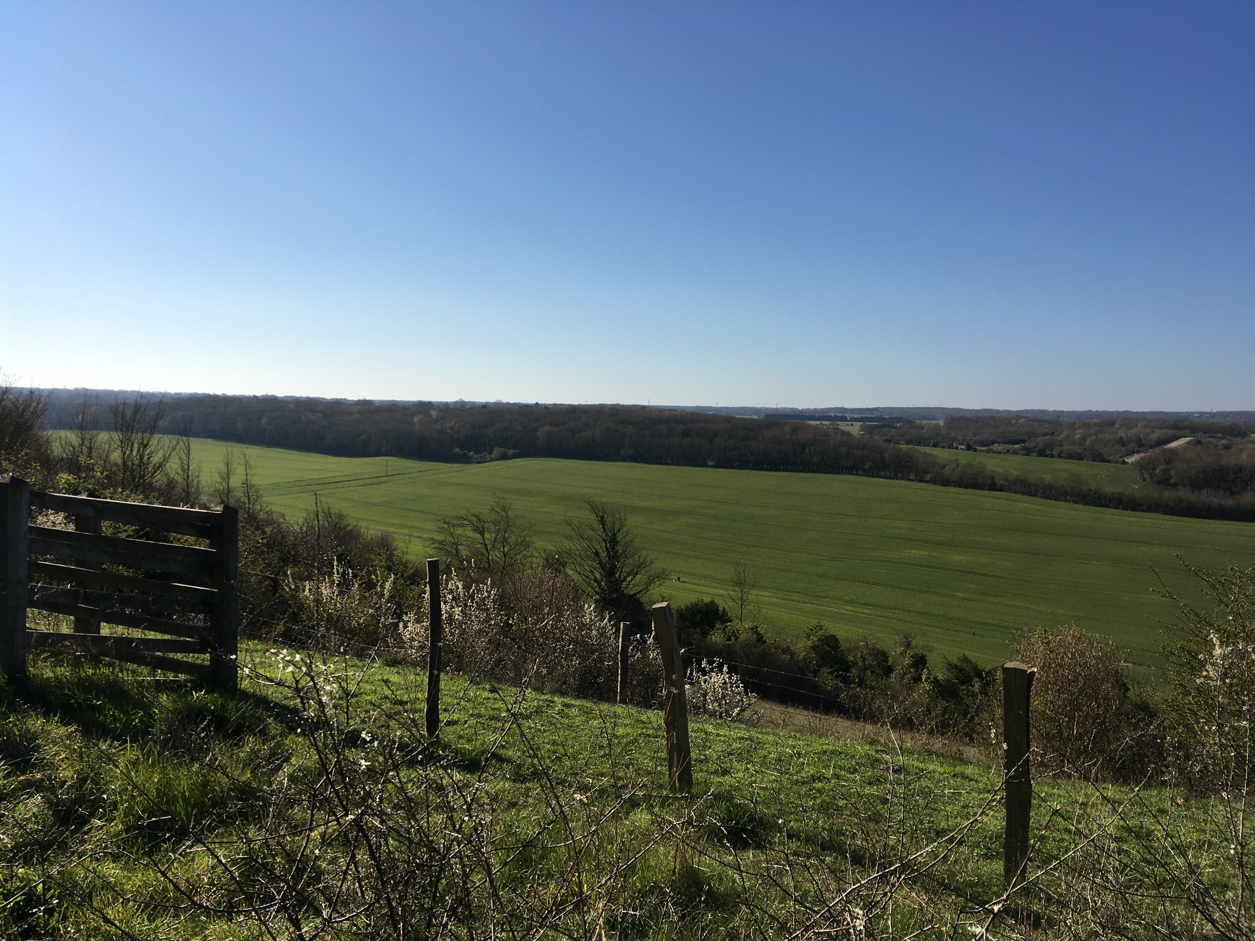 Wellbeing Walk: Darland Banks