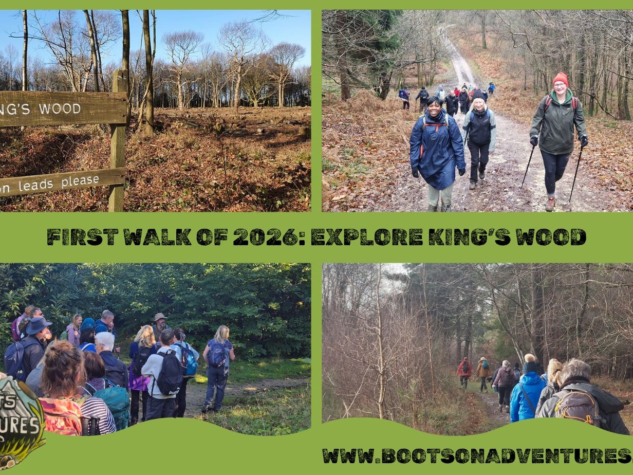 First Walk of ; Explore King's Wood