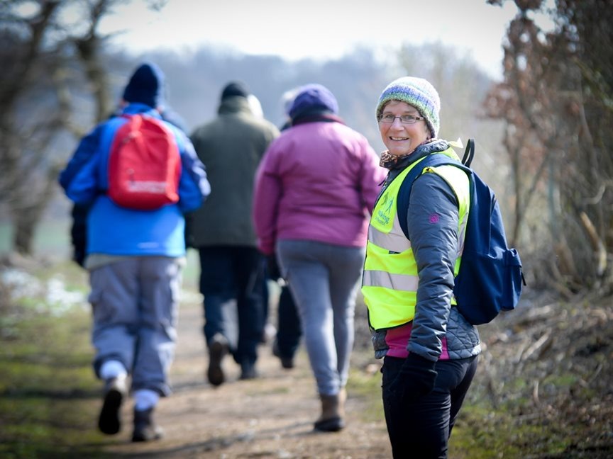 Hertfordshire Health Walks - Verulamium Park, St Albans, Grade 3