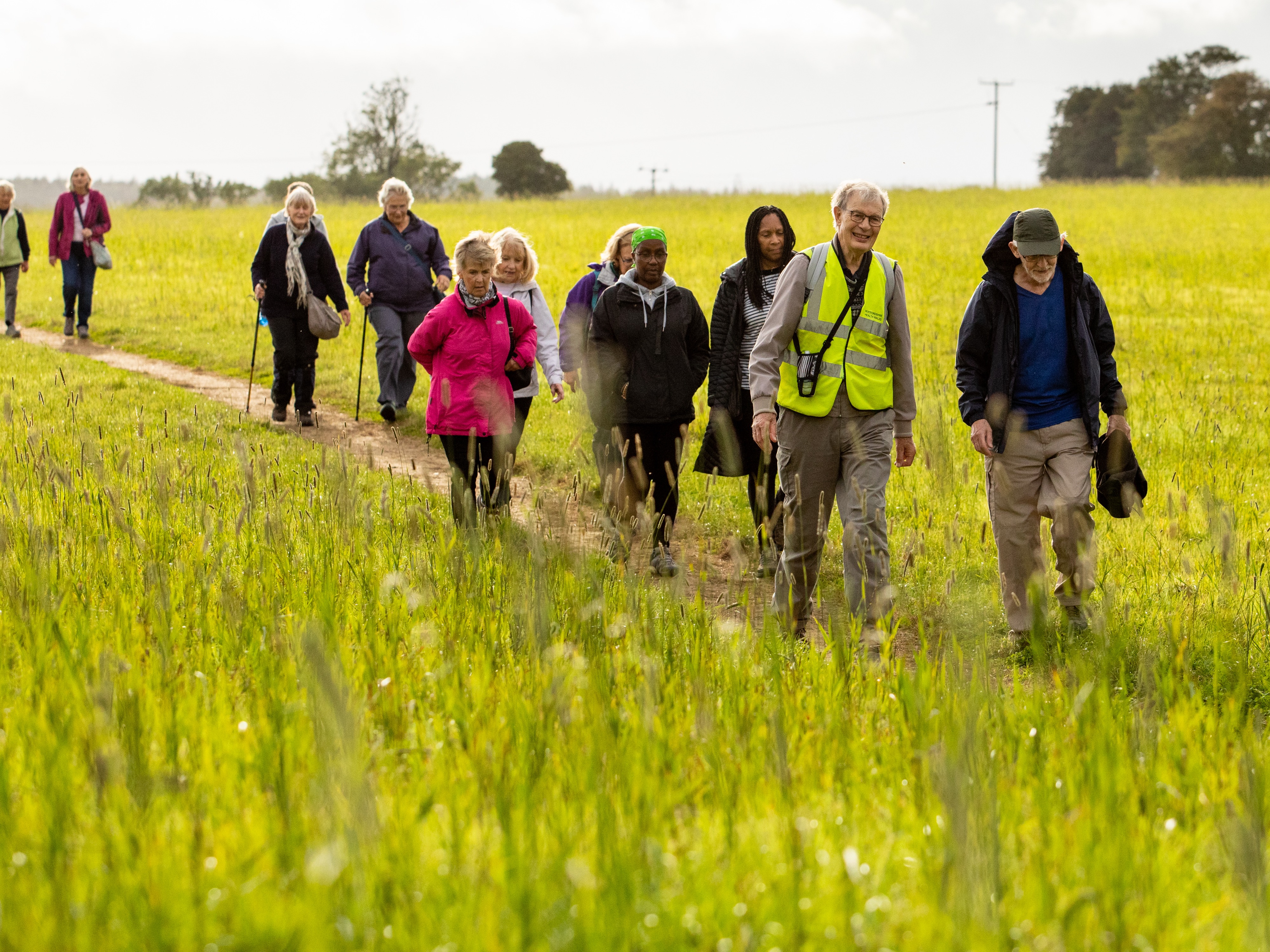Hertfordshire Health Walks - Redbourn - Grade 4