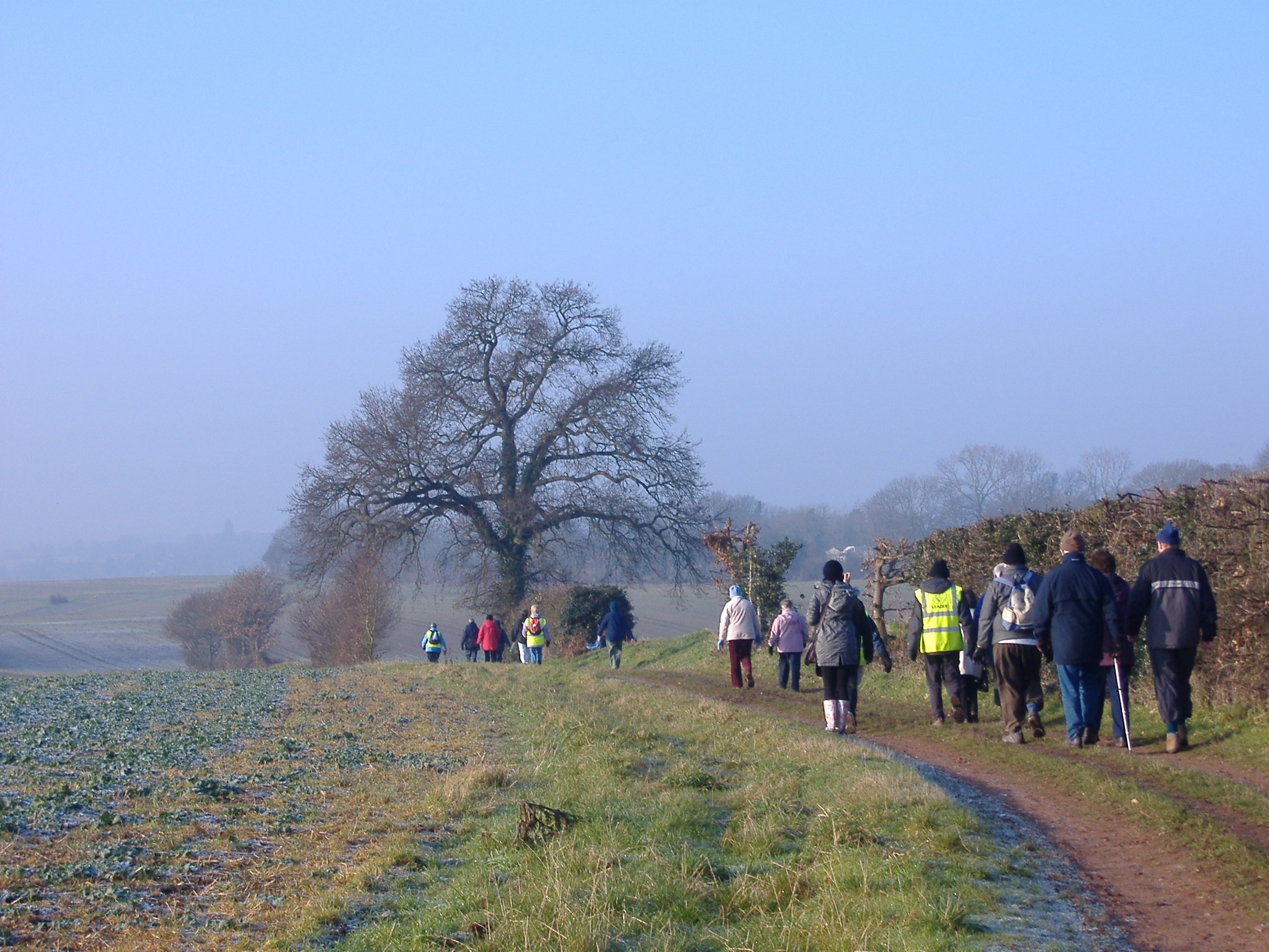 Hertfordshire Health Walks - Abbots Langley - Grade 2