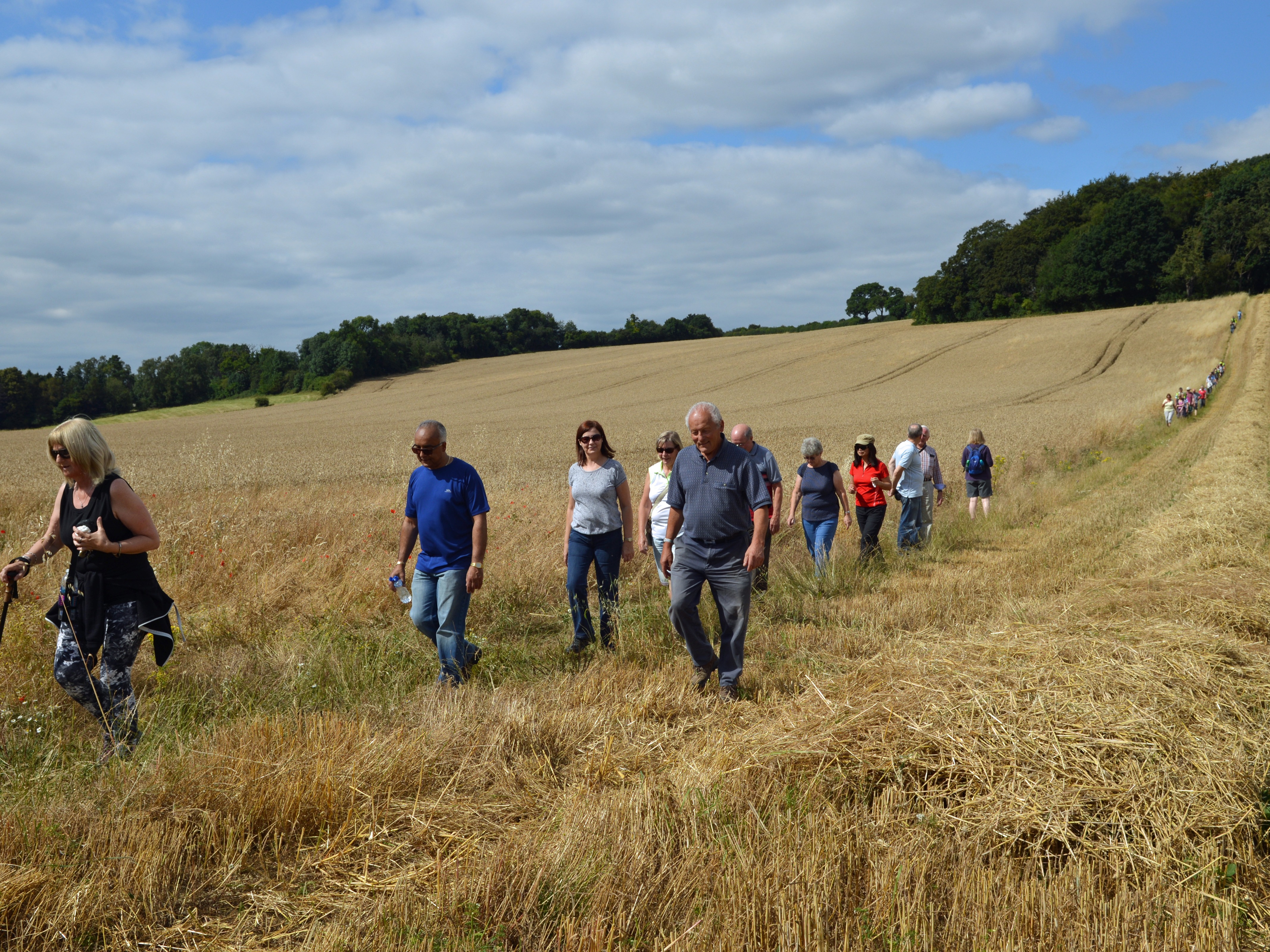 Hertfordshire Health Walks - Rickmansworth Aquadrome - Grade 4-4+