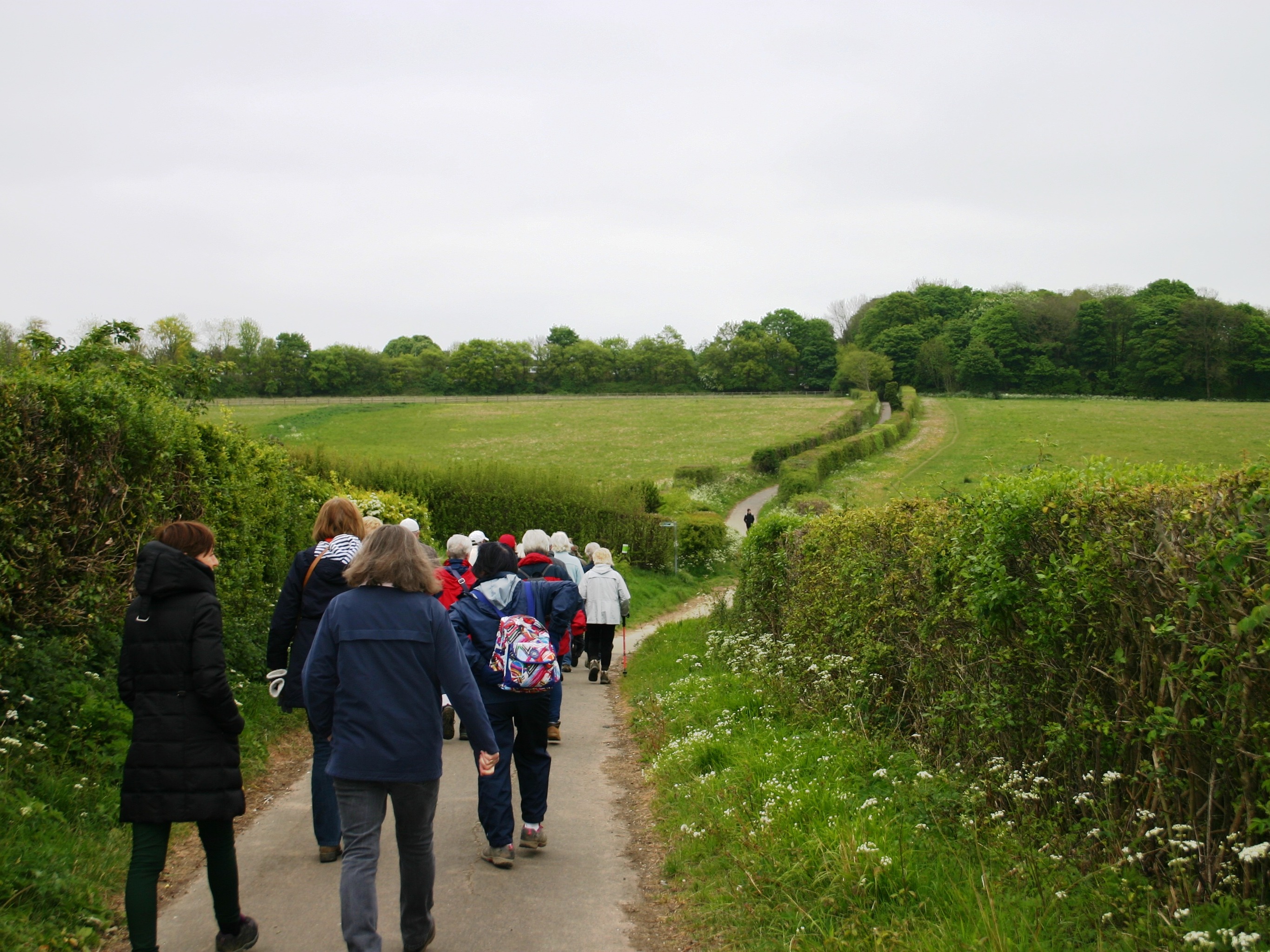 Hertfordshire Health Walks - Little Hay - Grade 3-4