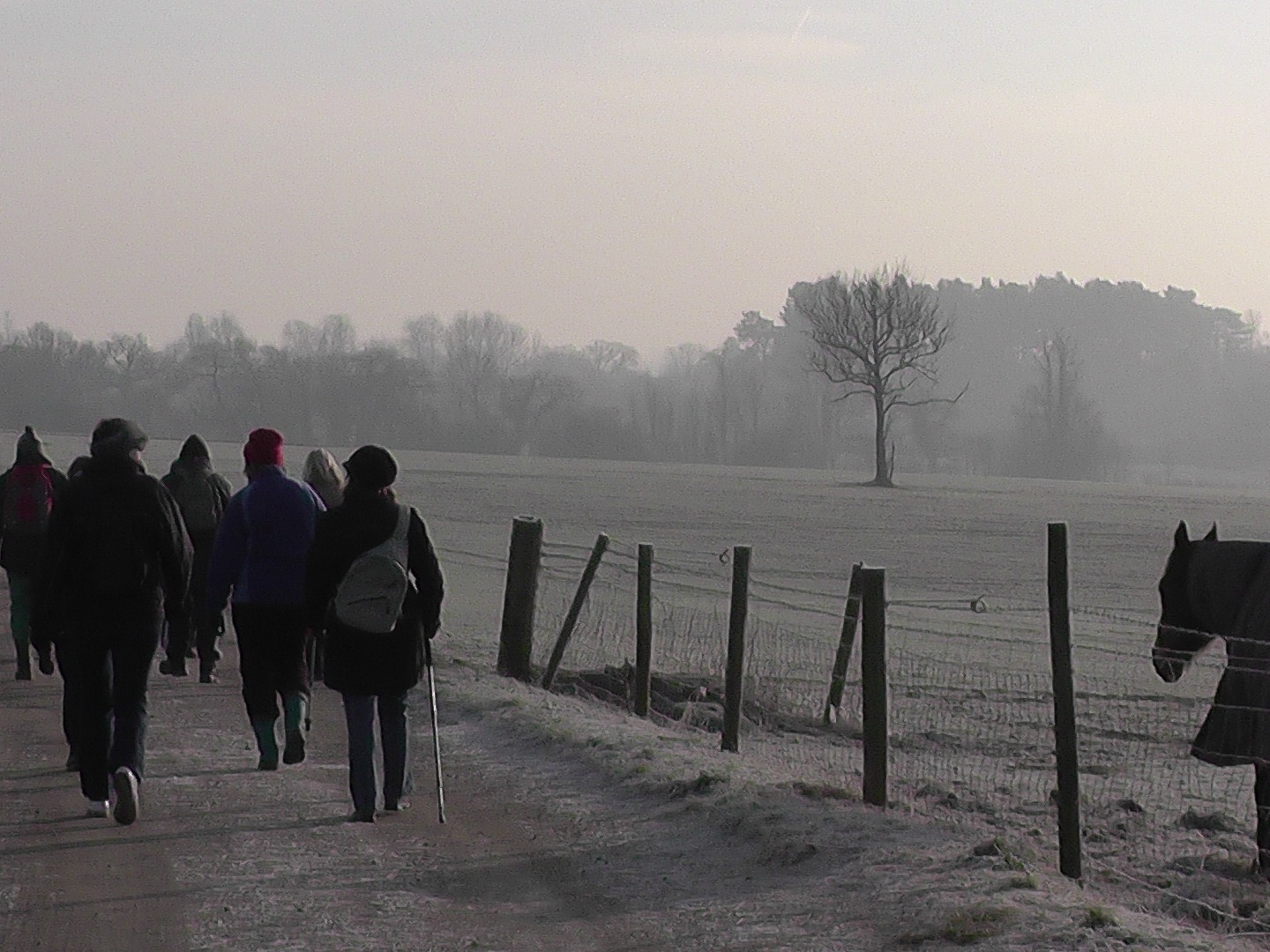 Hertfordshire Health Walks Berkhamsted - Grade 3-4