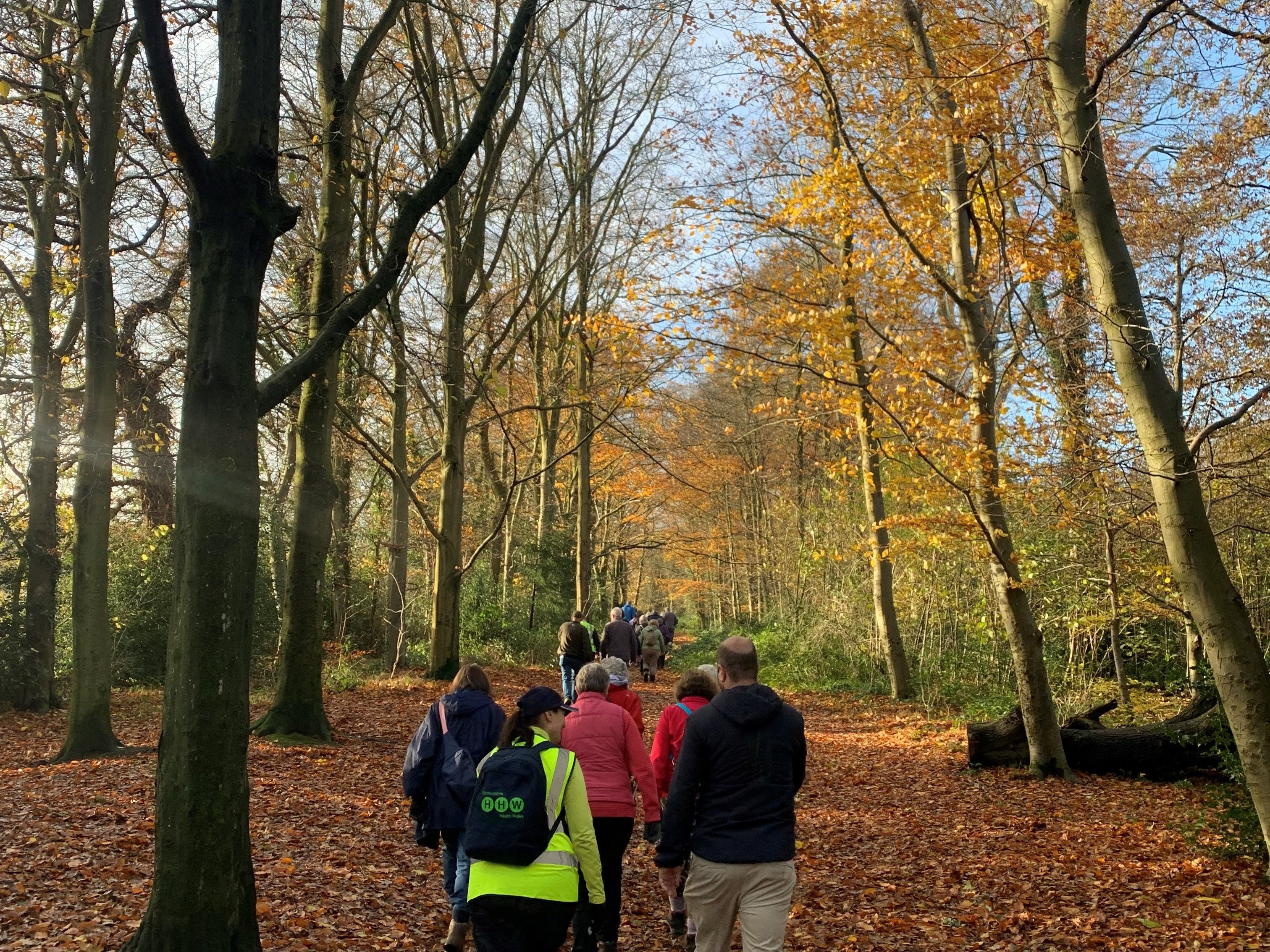 Hertfordshire Health Walks Tring - Grade 3-4