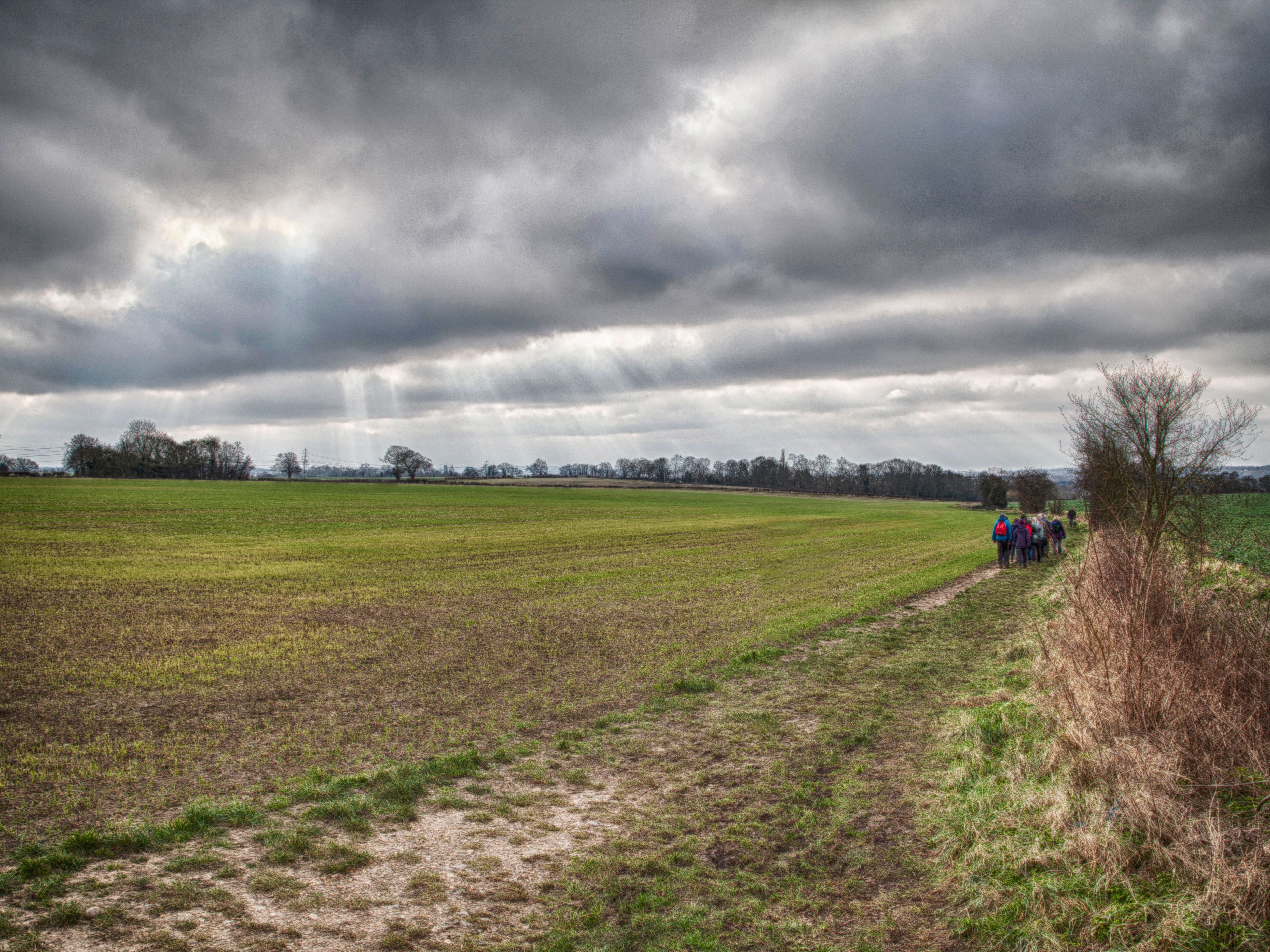 Hertfordshire Health Walks Grovehill - Grade 2-3