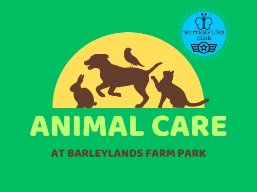 Butterflies Club C.I.C presents: Fun Farm Adventures!