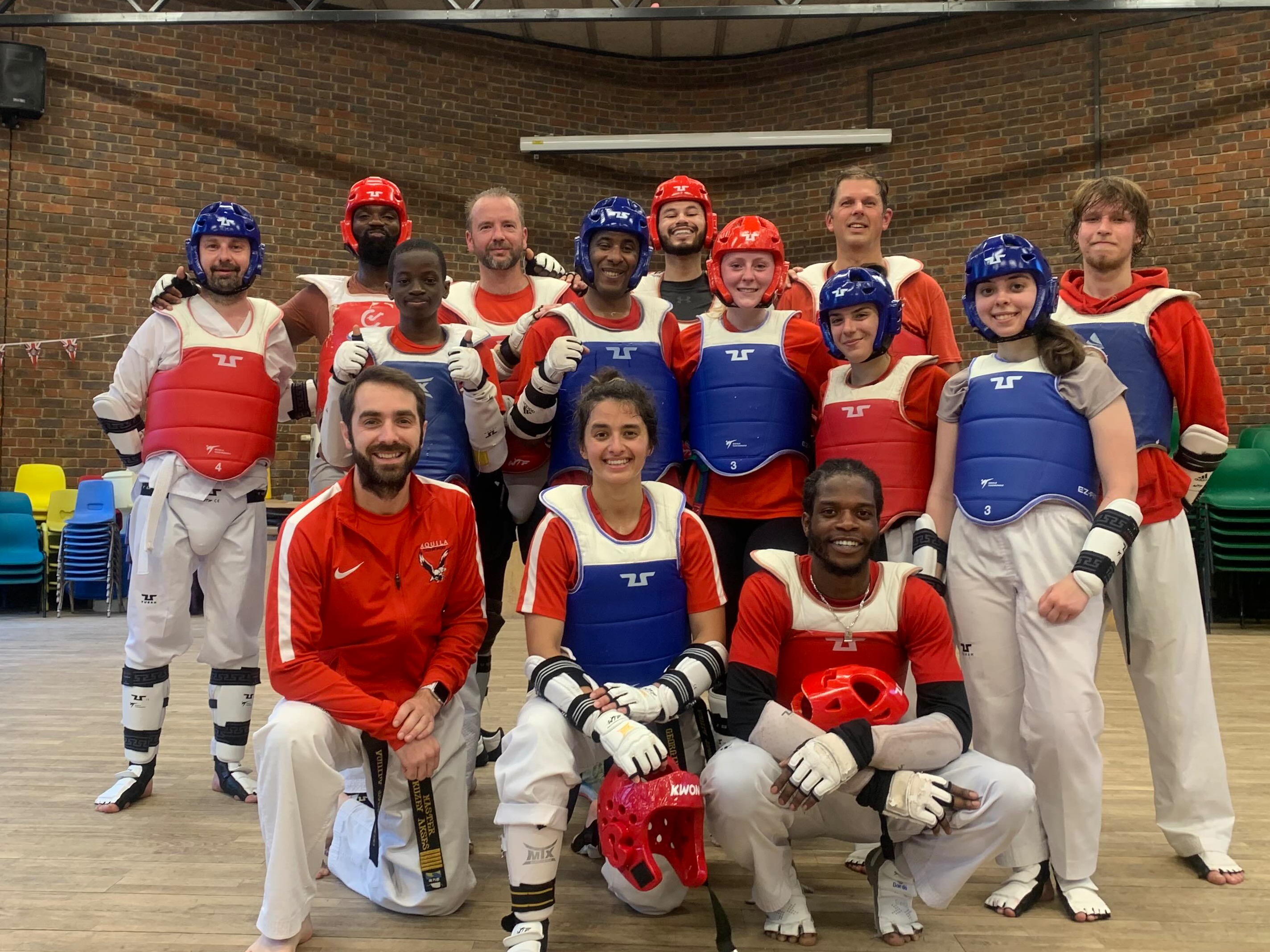 Olympic Taekwondo Sparring